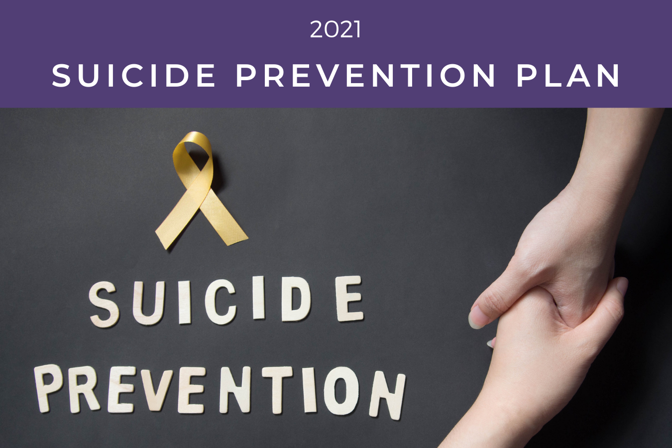 Suicide Prevention Plan